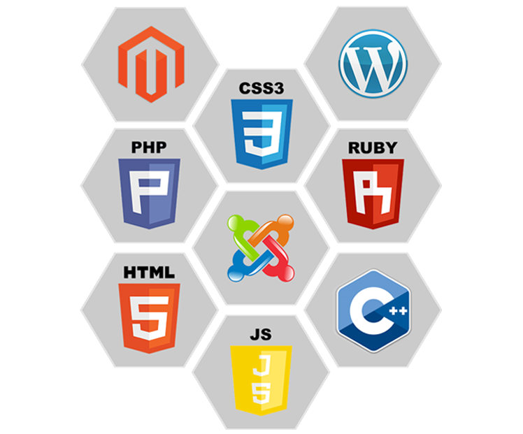 web-designing-company-thrissur-three web designing company thrissur three